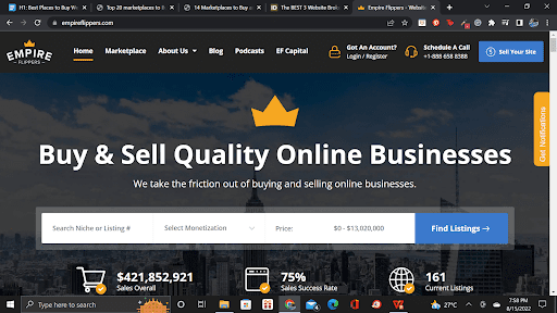 Buy Established Websites